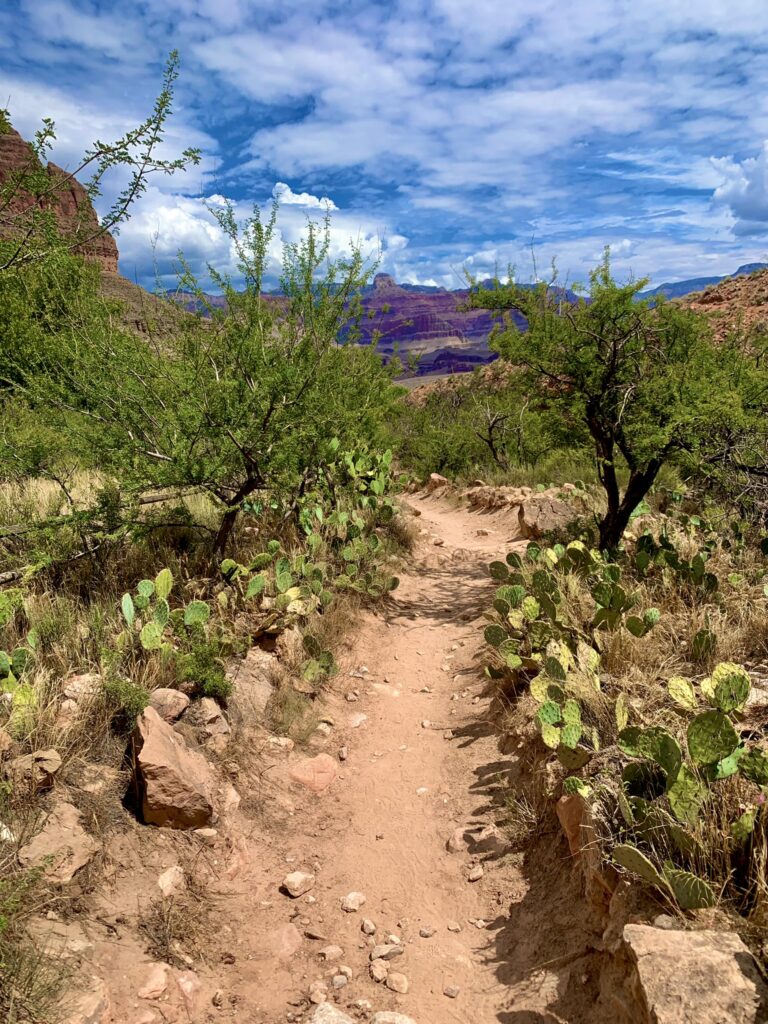 Grand Canyon, USA