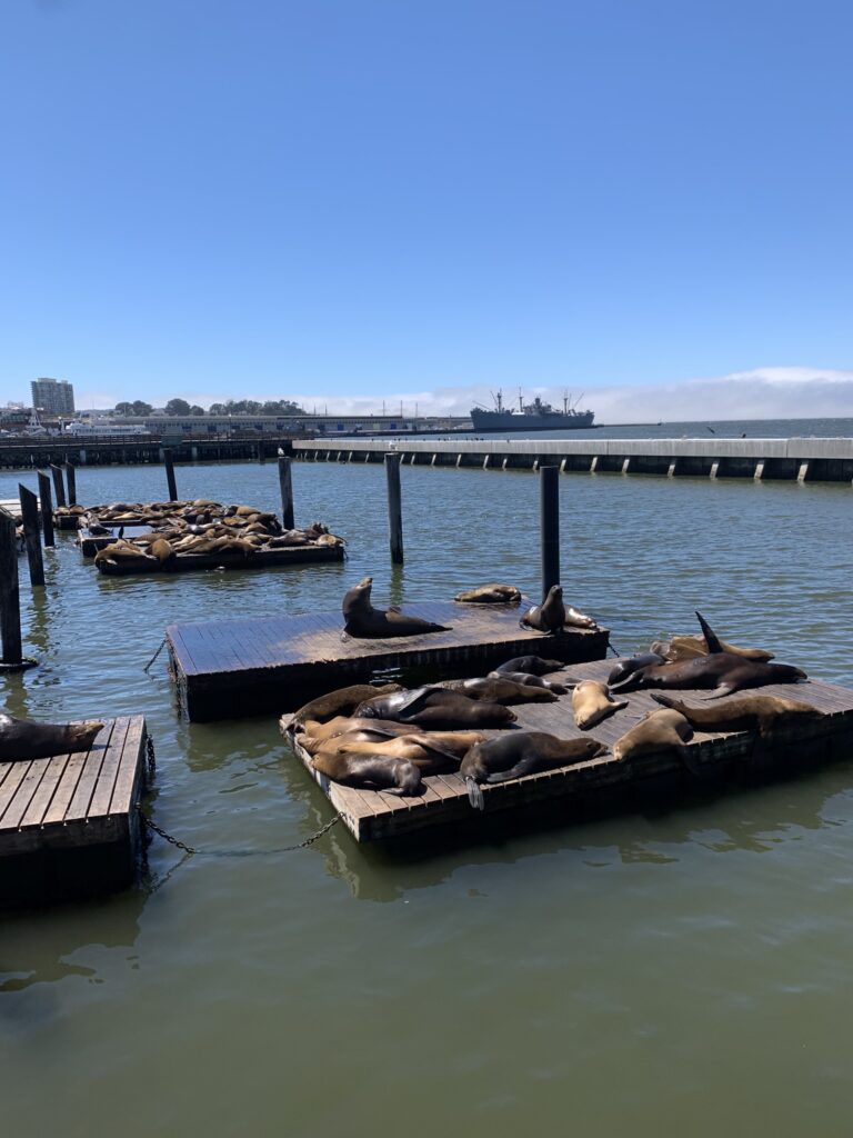 Pier 39, San Francisco